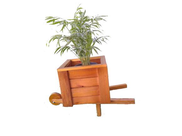 Carriola de madeira vaso para plantas