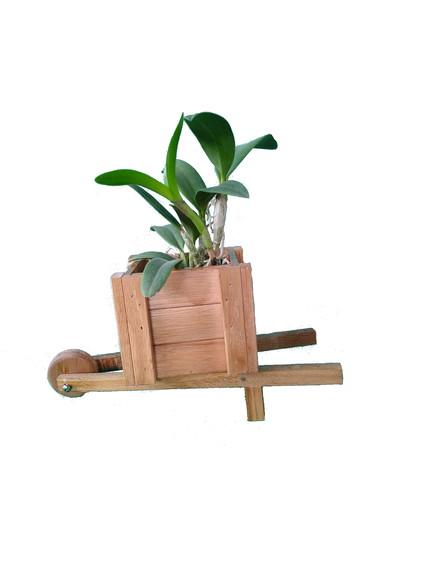 Carriola de madeira vaso para plantas