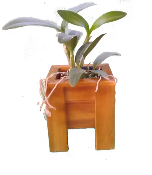 Cachepô De Madeira Vaso Para Plantas De Madeira