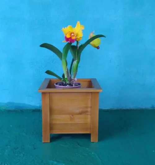 Cachepot De Madeira Maciça Para Vaso De Planta