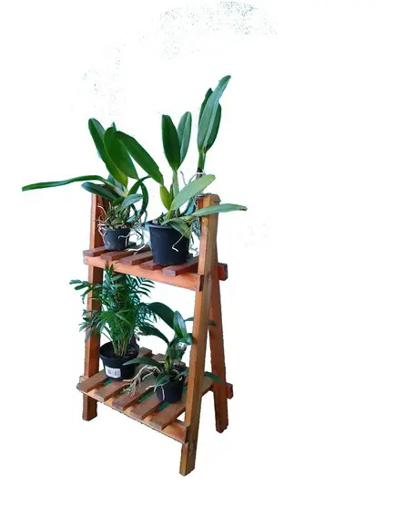 Suporte Para Suculentas Enfeite Para Sala Floreira Escada