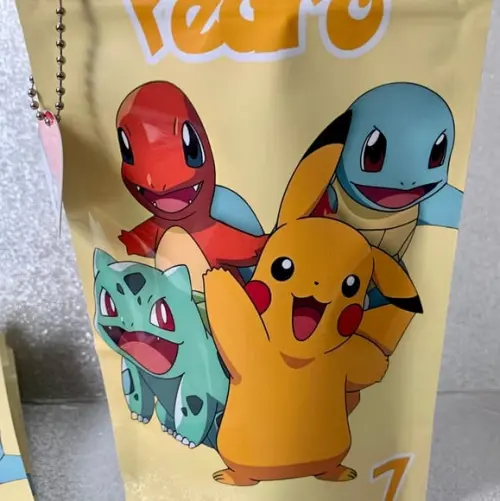 Saquinho Zip Lock Pokémon