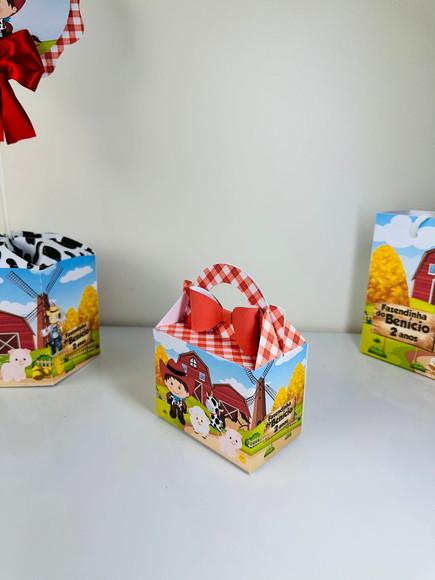 Kit 21 Caixas Fazendinha Menino