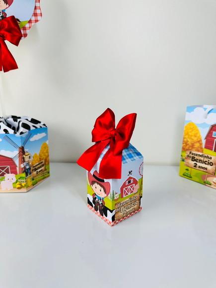 Kit 21 Caixas Fazendinha Menino