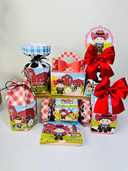 Kit 35 Caixas Fazendinha Menino