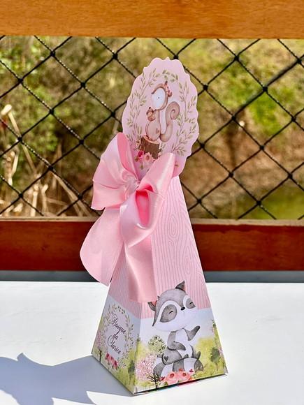 Kit 42 Caixas do Bosque Menina