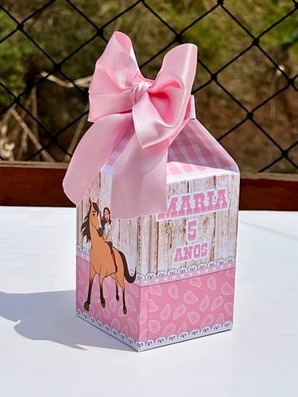 Kit 42 Caixas Tema Spirit