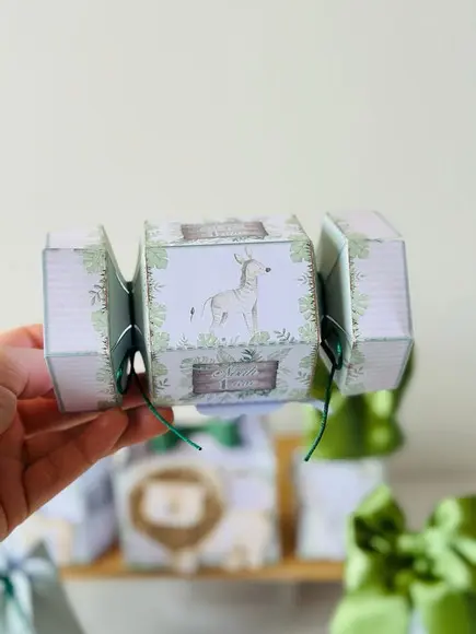 Caixa Bala do Safari em Aquarela com Aplique em 3d.