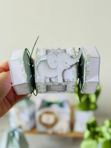 Caixa Bala do Safari em Aquarela com Aplique em 3d.