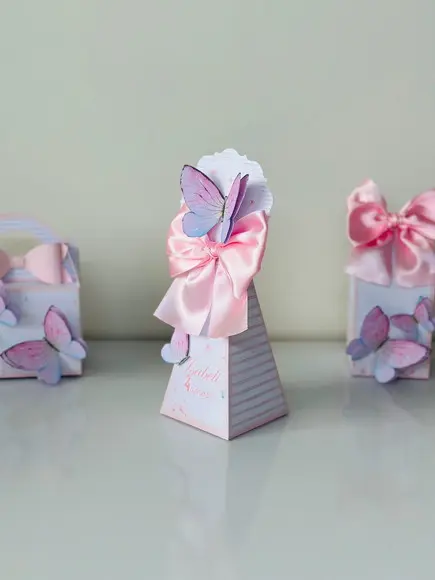 Caixa Pirâmide / Cone de Borboletas em 3d