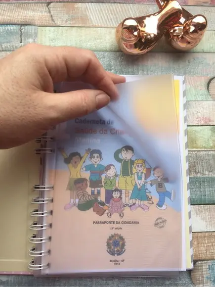Caderneta de Vacinação Personalizada fada