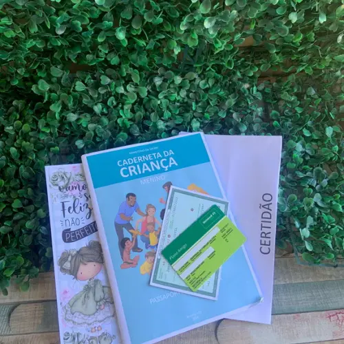 Capa para Caderneta de Vacinação Personalizada com Nome