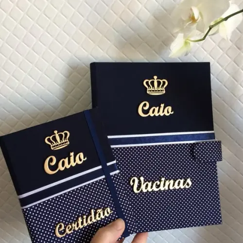Kit Capa para Caderneta de Vacinação + capa certidão