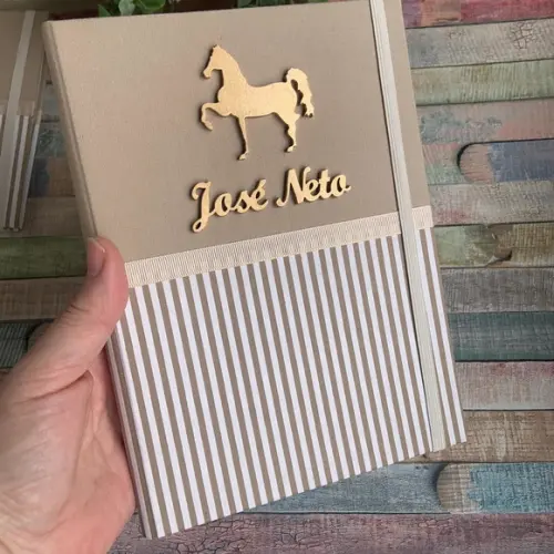 kit Capa para Caderneta de Vacinação com Capinha para Certidão