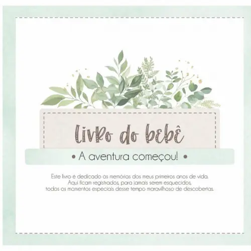 Livro do Bebê Personalizado Baby Boy