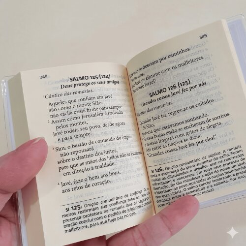 Mini Bíblia - Livro dos Salmos - 10 UNIDADES