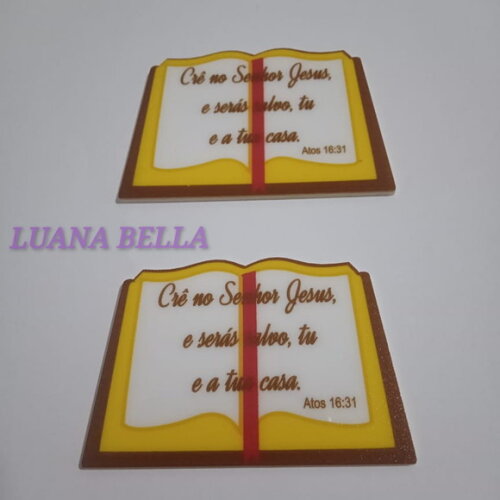 Aplique em acrílico de Livro Bíblico - pct c/5 unidades