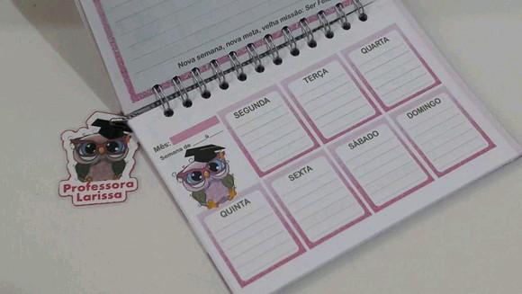 Planer do professor