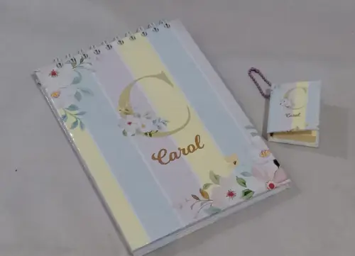 Planer Diário