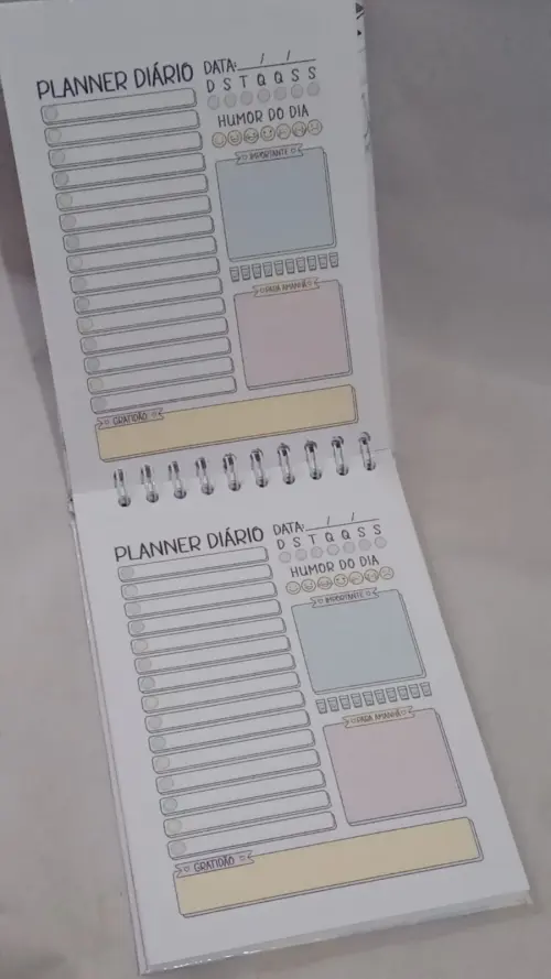 Planer Diário