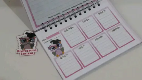 Planer do professor