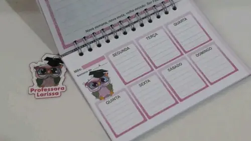 Planer do professor