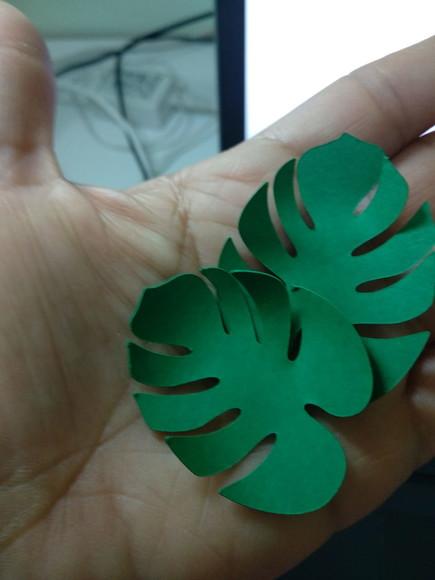 folhas de papel costela de adão