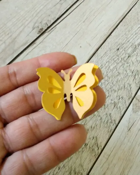 Borboleta dupla 3 cm