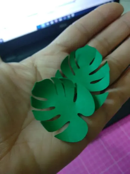 folhas de papel costela de adão