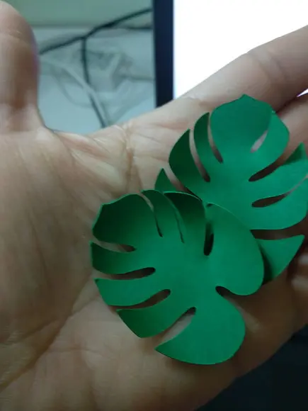 folhas de papel costela de adão