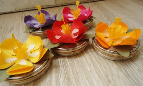 Latinha com Flor de Hibisco