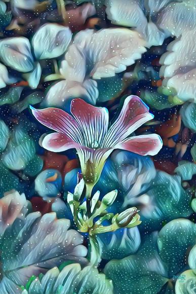flora viva