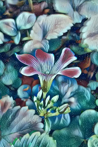 flora viva