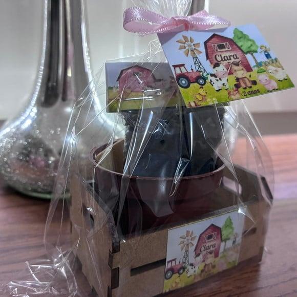 Lembrancinha Kit Cultivo Fazendinha- Elaboramos Todos os Temas