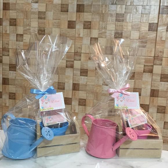 Kit Jardinagem Caixote Com Regador