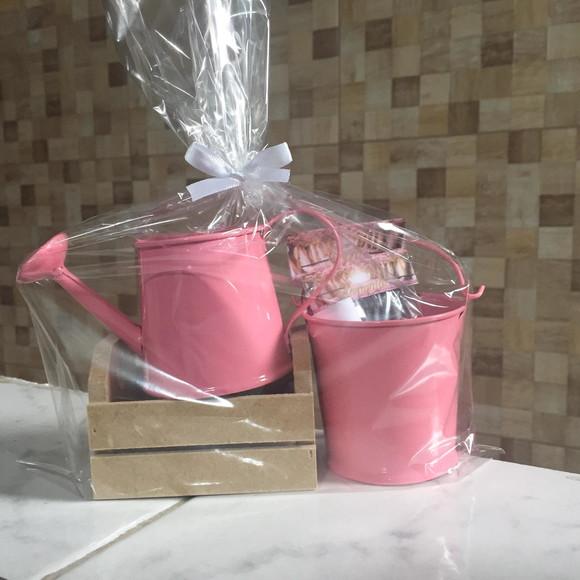 Kit Jardinagem Caixote Com Regador