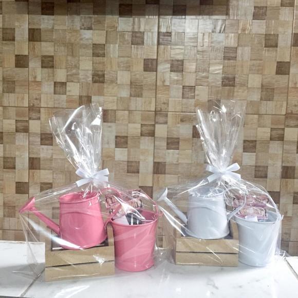 Kit Jardinagem Caixote Com Regador