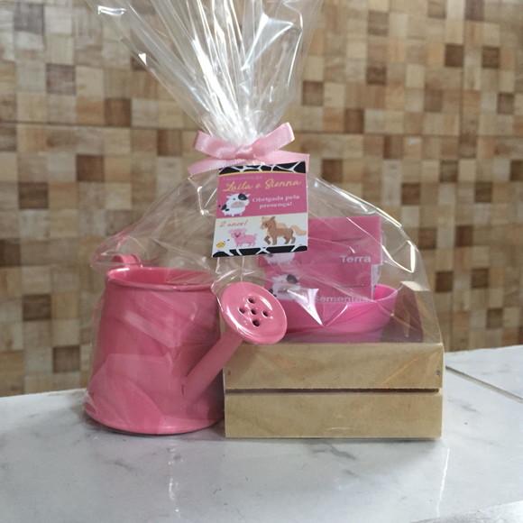 Kit Jardinagem Caixote Com Regador