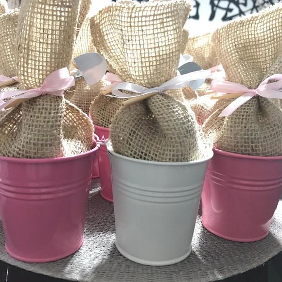 Kit Plantio Balde Metal Jardim