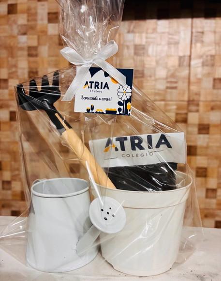 Kit Plantio Todos os Temas
