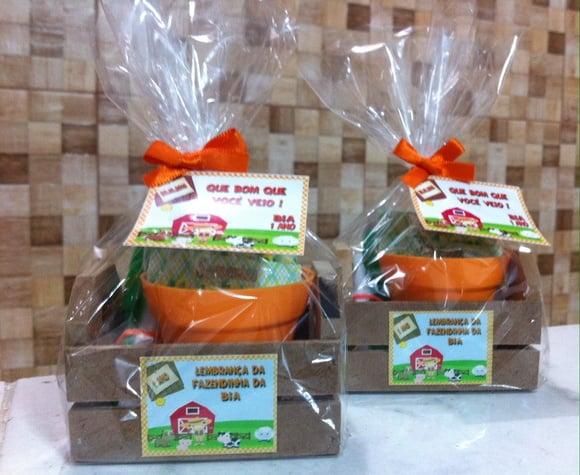 Lembrancinha Jardinagem Plantio Fazendinha