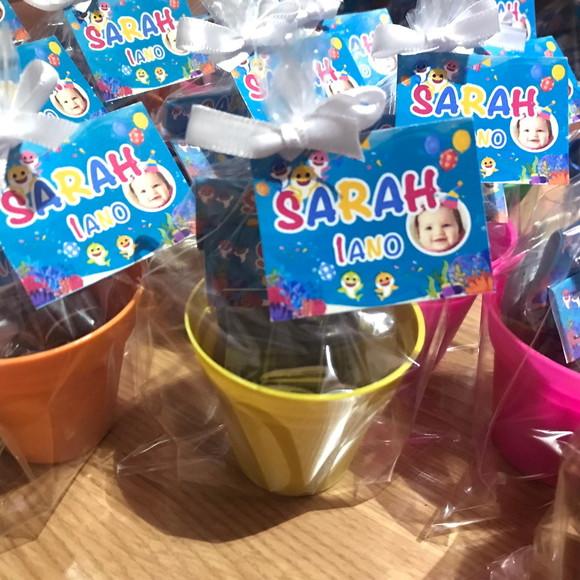 Lembrancinha Joaninha