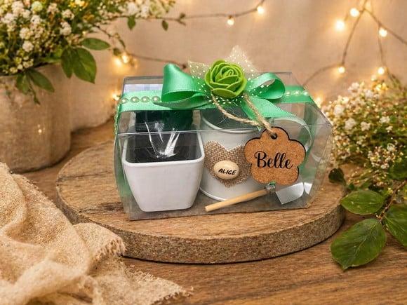 Lembrancinha Kit Plantação Luxo
