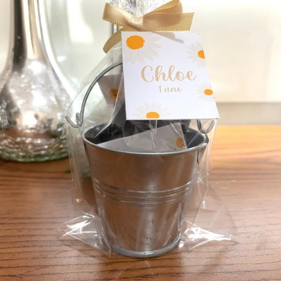 Lembrancinha Kit Plantação Todos os Temas