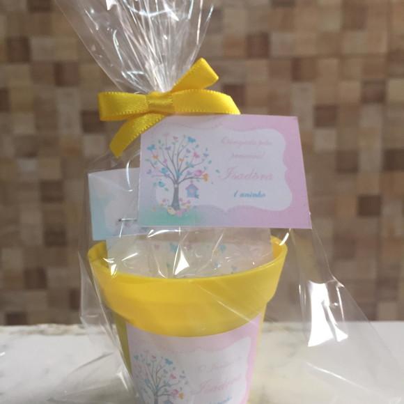 Mini Kit Ecológico Jardim Das Borboletas