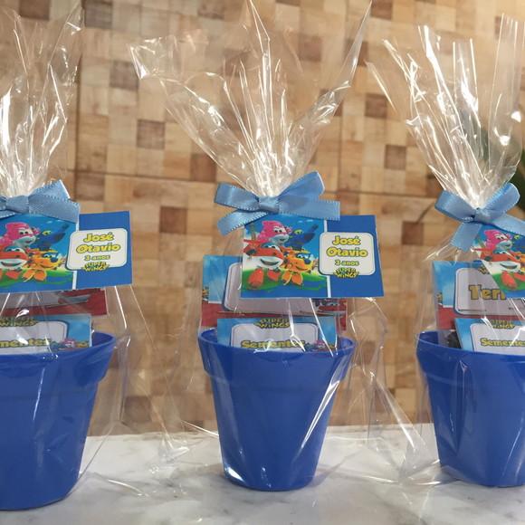 Mini Kit Ecológico Plantio Super Winks