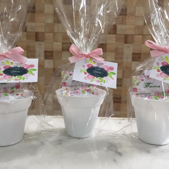 Mini Kit Ecológico Plantio Jardim