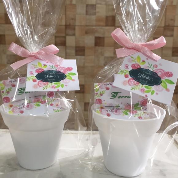 Mini Kit Ecológico Plantio Jardim
