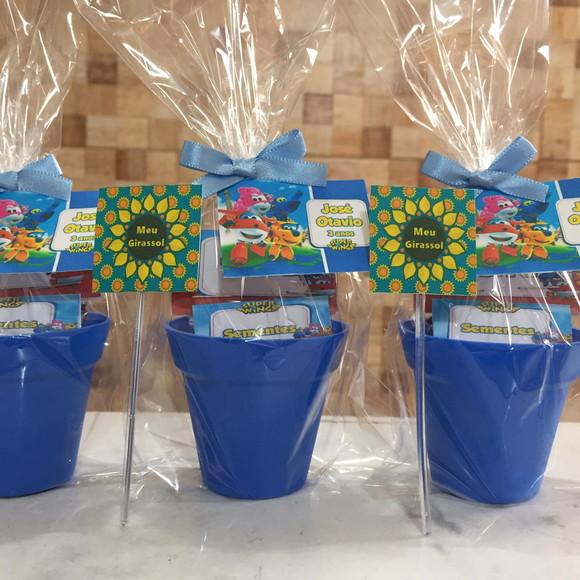 Mini Kit Ecológico Plantio Super Winks