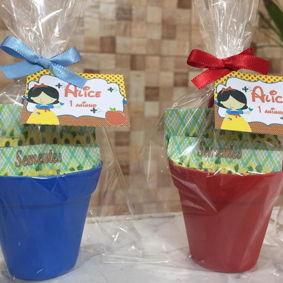 Mini Kit Jardim Branca De Neve Cute